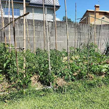 הוילה Nigrán A Casa Do Castano מראה חיצוני תמונה