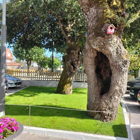 הוילה Nigrán A Casa Do Castano מראה חיצוני תמונה